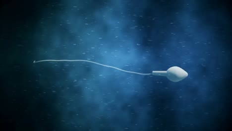 Sich-Bewegende-Eizelle,-Die-Durch-Spermien-Befruchtet-Wird