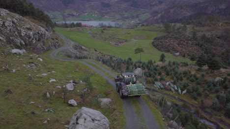 Tractor-Transporting-Newly-Harvested-Christmas-Trees-From-Plantation