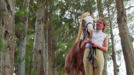 caballo, mujer de pie juntos, caballo mirando directamente a la cámara