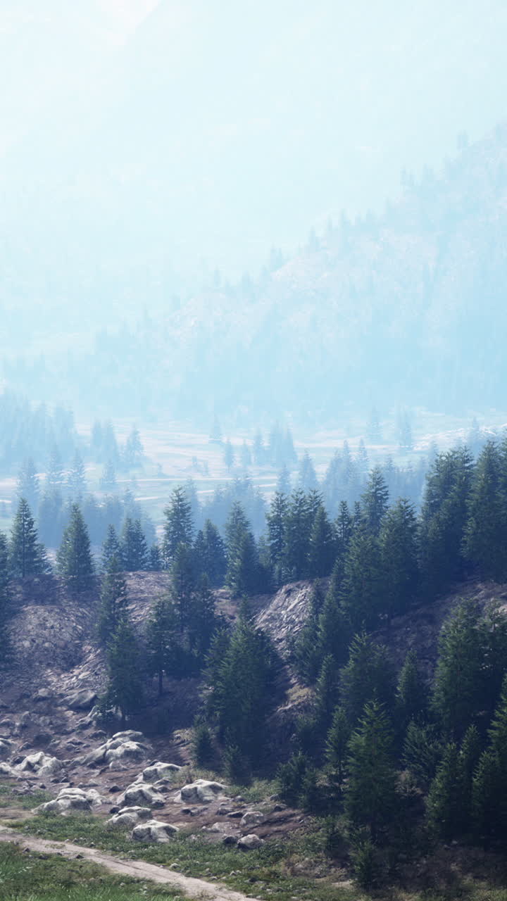 senderos de montaña a bosques senderos