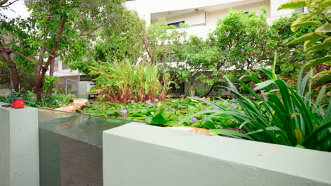 Idyllic-Lily-Pond-of-Apartment-Complex-With-Soothing-Water-and-Pink-Flower-Blossoms-Providing-Respite-to-Residents