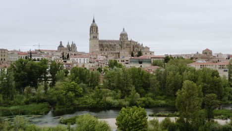 distant view of the salamanca cathedral from the viewpoint of tormes river in salamanca, spain