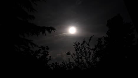 Misterio-A-La-Luz-De-La-Luna:-Inquietantes-Siluetas-De-Bosques,-Nubes-Oscuras-Y-Los-Secretos-De-Una-Noche-Escalofriante:-Imágenes-De-Terror.