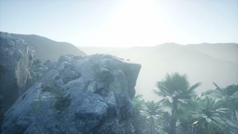 mountain and field landscape with palms
