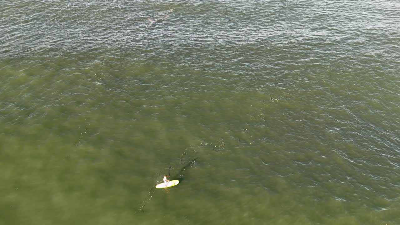 Drone footage captures a lone paddleboarder navigating tranquil waters under clear skies, highlighting serene oceanic beauty