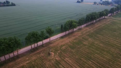 drone-shot-of-a-wide-cultivated-green-field-alongside-the-road-and-trees-on-a-cloudy-evening