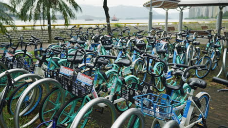 slow motion city cycling: bunch of hong kong city bikes captured in gimbal shot