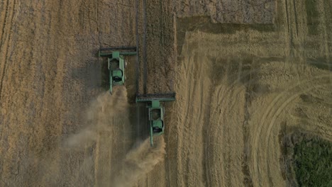 Harvesting-Wheat-Crops-With-Combine-Harvester-In-The-Field---Drone-Shot