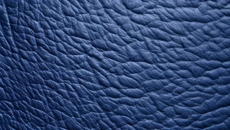 close-up view of blue leather texture