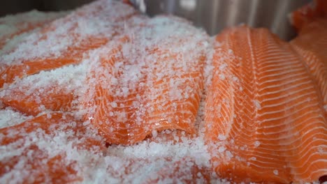 salt crystals falling gently down and covering fresh raw salmon fish fillets - slow motion closeup of salmon salting