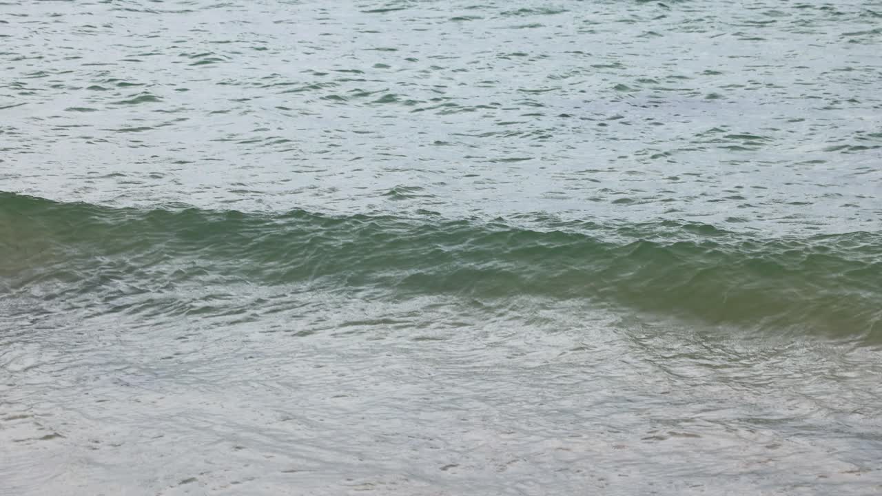 Waves gently roll and crash on the sandy shore at Point Lonsdale, Australia, under soft, natural lighting, creating a serene coastal scene