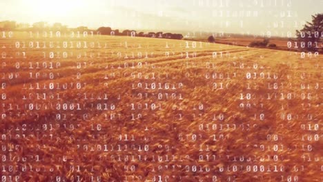 Binary-codes-in-a-field