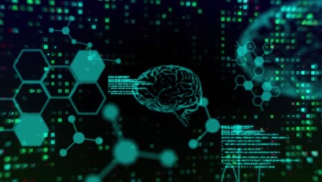 animación de cerebros humanos y procesamiento de datos