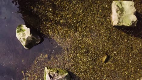 aerial footage of shallow stream with rocks and pebbles