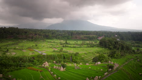 Paisaje-Verde-De-Campos-De-Arroz-En-Un-Día-Nublado-En-Bali,-Indonesia---Retroceso-Aéreo