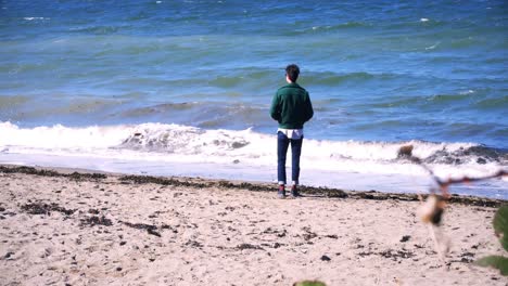 Man-standing-on-the-beach-on-a-sunny-day-4k