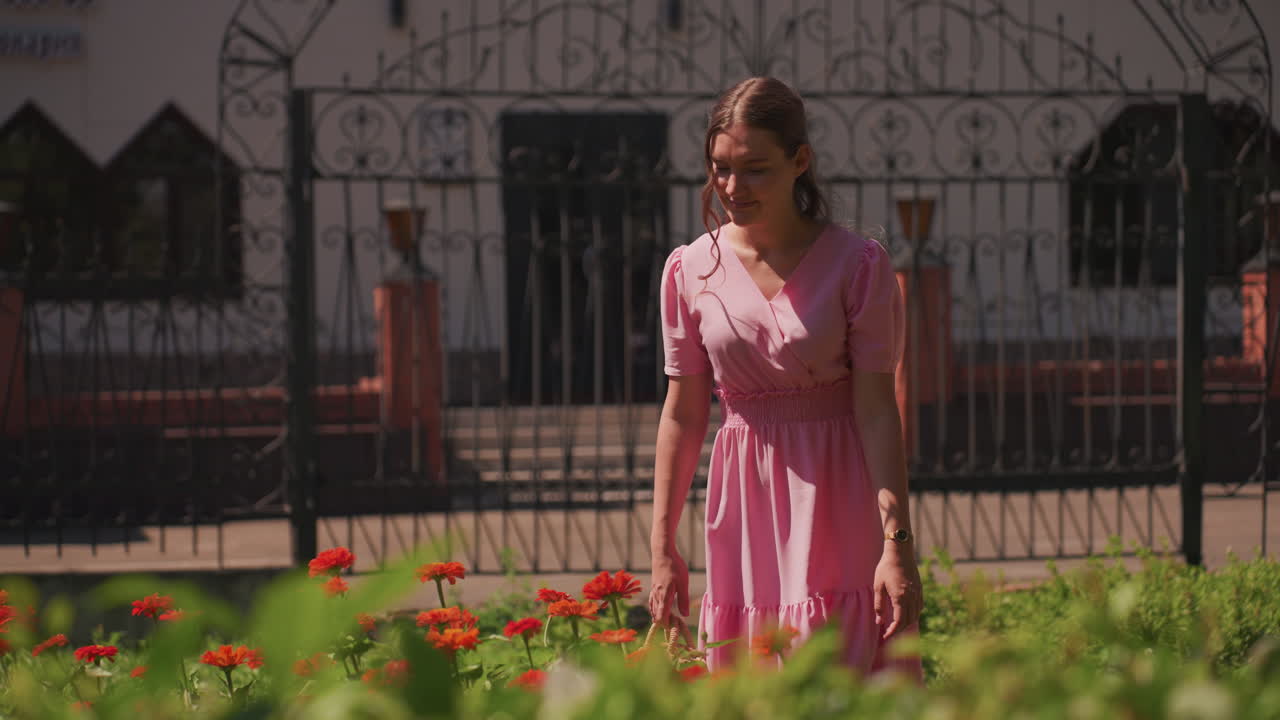 Mulher branca com vestido rosa cercada por zínias vermelhas sob um portão de ferro, luz dourada cinematográfica, jardineira contemplativa e poeta amadora faz uma pausa entre as pétalas, brisa suave, sombras vintage suaves