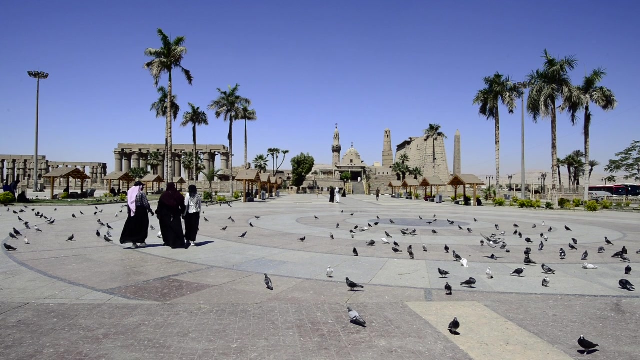 Donne nel mondo arabo camminano in un parco con colombe. Donne con burqa in Egitto.