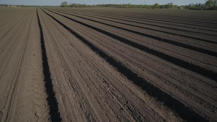 View of a plowed and cultivated farm field. Agricultural field is ready for planting and sowing.