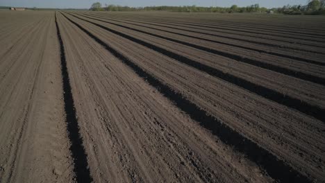 view of a plowed and cultivated farm field. agricultural field is ready for planting and sowing.