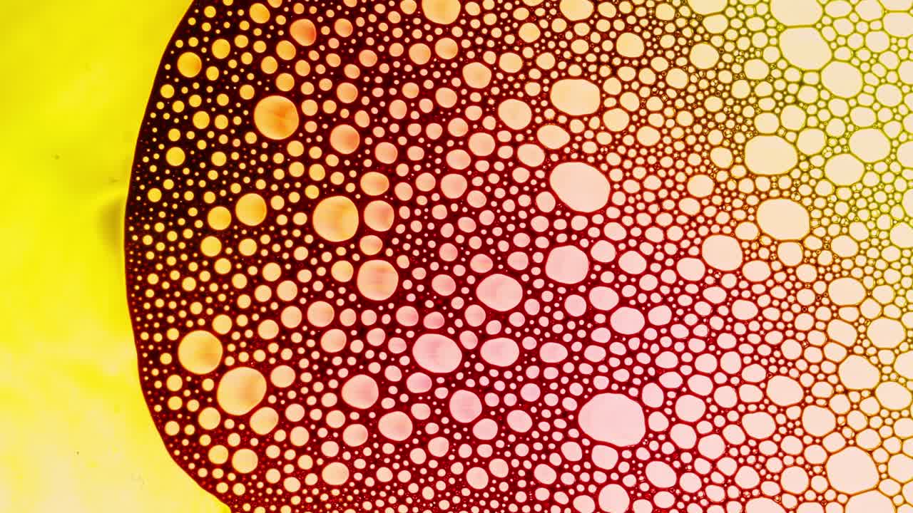 patrones de burbujas de jabón de colores