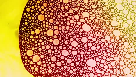 colorful soap bubble patterns