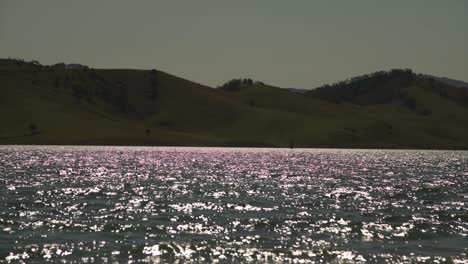 lake st claire, singleton