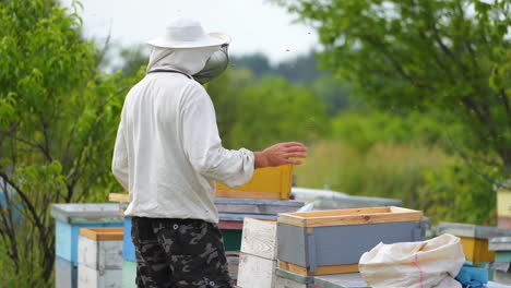 beekeeper working in his apiary. frames of a bee hive