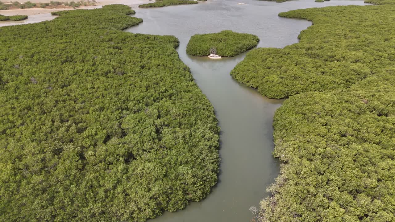 Scenic aerial shot of Somone mangrove wetlands, Senegal, with multiple water channels surrounded by dense tropical greenery