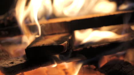 close up 4k of wood burning in a fire pit