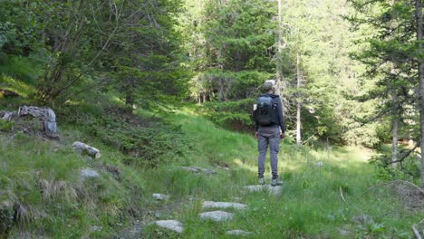 content creator hikes mountainous trail, pausing to enjoy surroundings