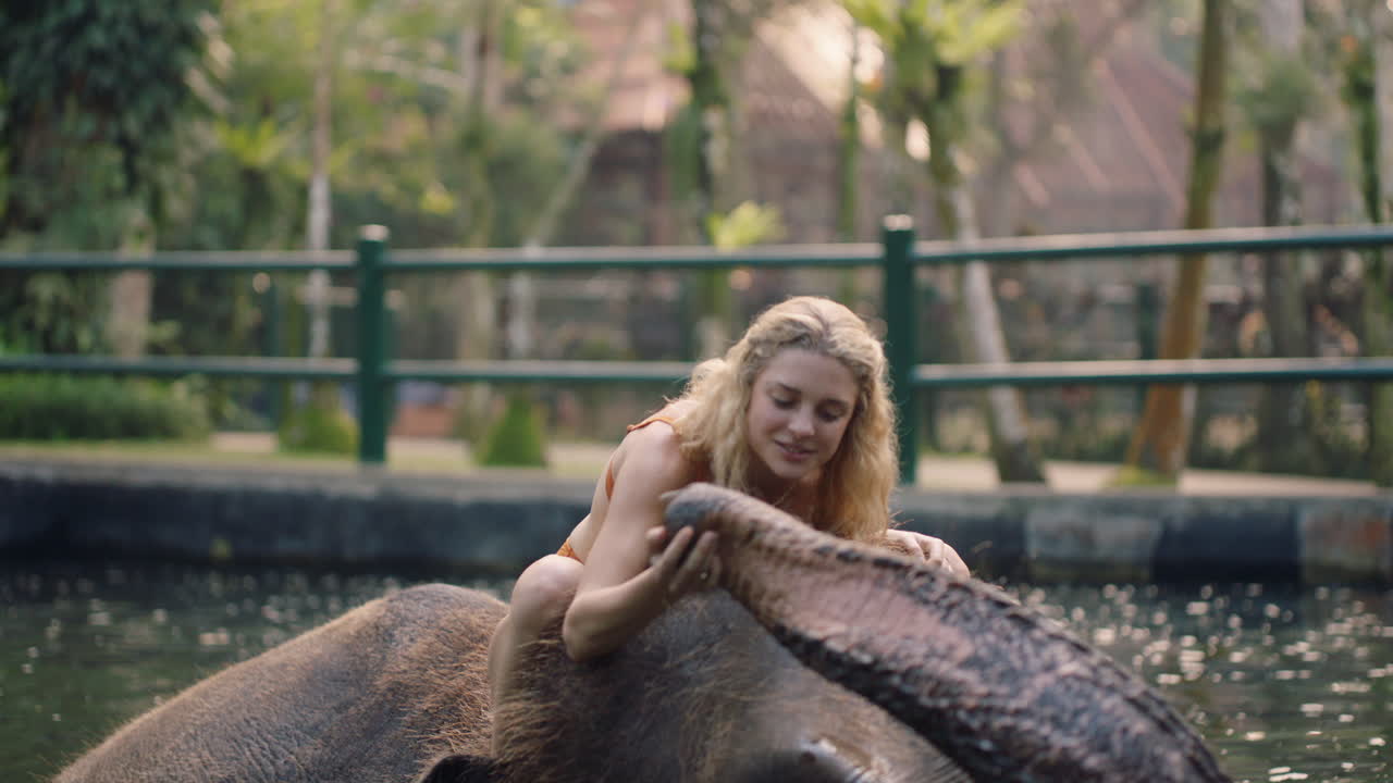 Premium stock video - Travel woman riding elephant in zoo playing in