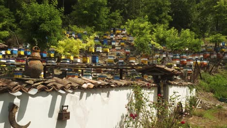 colourful bulgarian beehives on apiculture farm on hillside