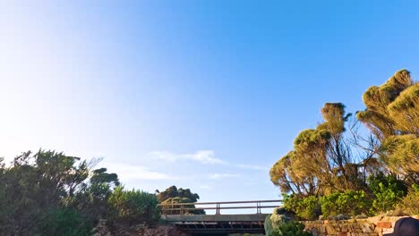 peaceful view of bridge and lush greenery under clear sky