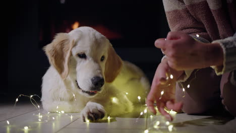 Pet-owner-is-preparing-to-decorate-her-house-with-garlands,-her-dog-lies-next-to-her.-A-fireplace-is-burning-in-the-background---Christmas-Eve