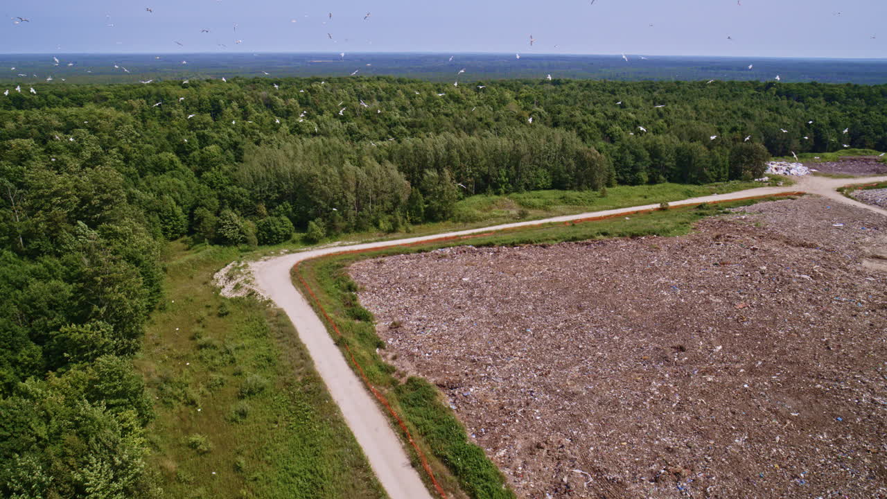 взгляд с воздуха на свалку, окруженную лесом