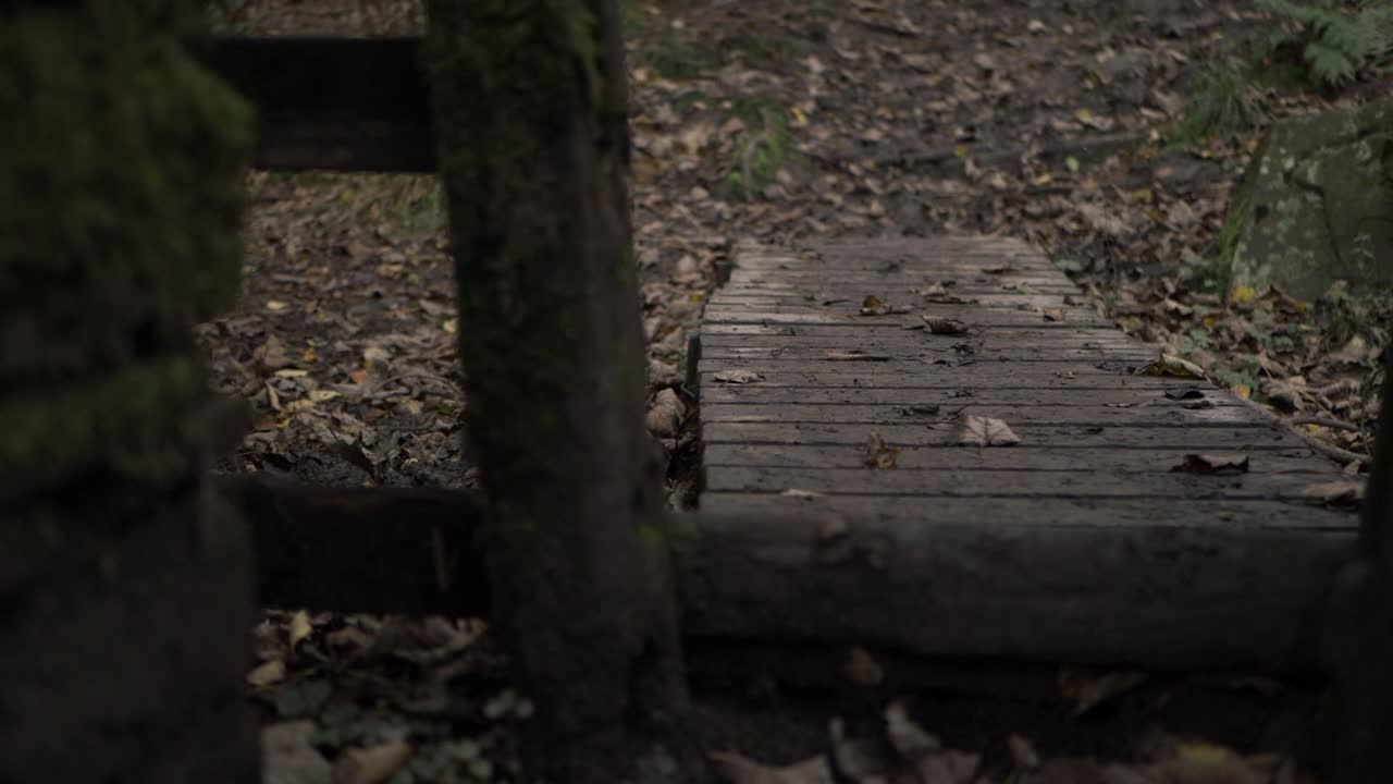 진흙 투성이의 나무 기둥과 시골 삼림 지대 중간 패닝 샷의 통로