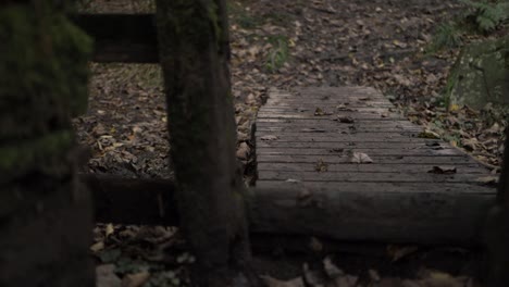 Muddy-wooden-stile-and-pathway-in-countryside-woodland-medium-panning-shot