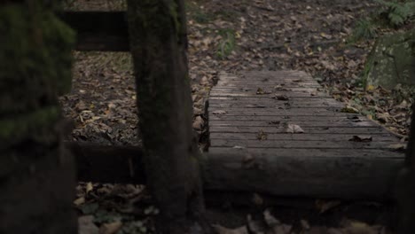 muddy wooden stile and pathway in countryside woodland medium panning shot