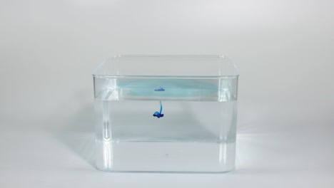 blue ink diffusing slowly in a clear water tank