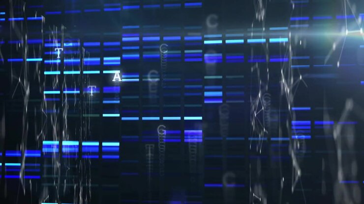 Animation of shapes and data processing over black background