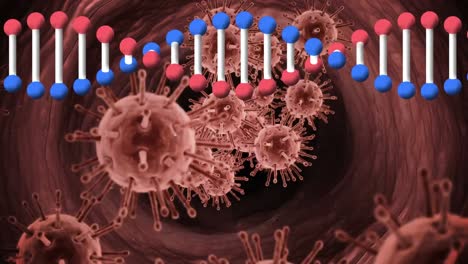 animación digital de la estructura del adn girando sobre múltiples células de covid-19 contra un fondo rojo