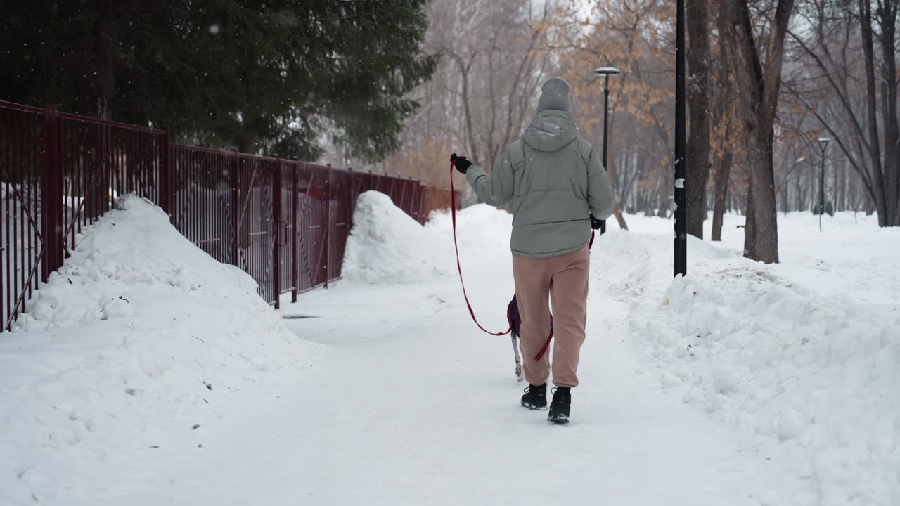Dog owner walking dog on snowy path in winter park, holding red leash, both seen from behind, dog wearing purple coat, surrounded by snow piles, bare trees, and iron fence in calm outdoor scene