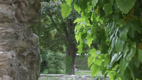 park view through stone wall openings