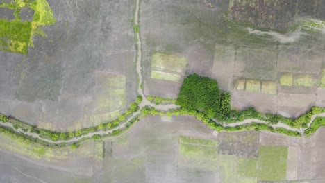 top down aerial view of flooded agriculture field in bangladesh