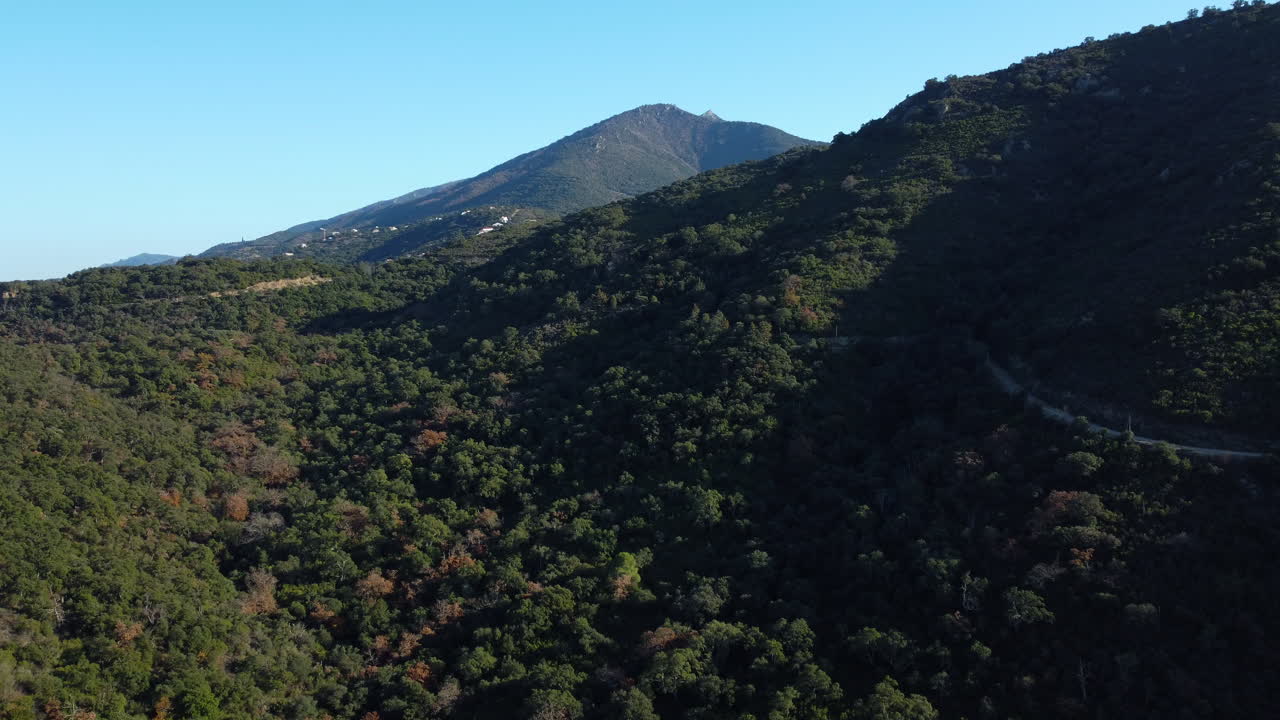 paisaje forestal montañoso