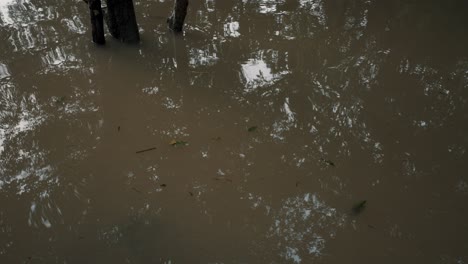 Reflections-On-Calm-River-In-The-Jungle-Of-Amazon-Rainforest,-Ecuador