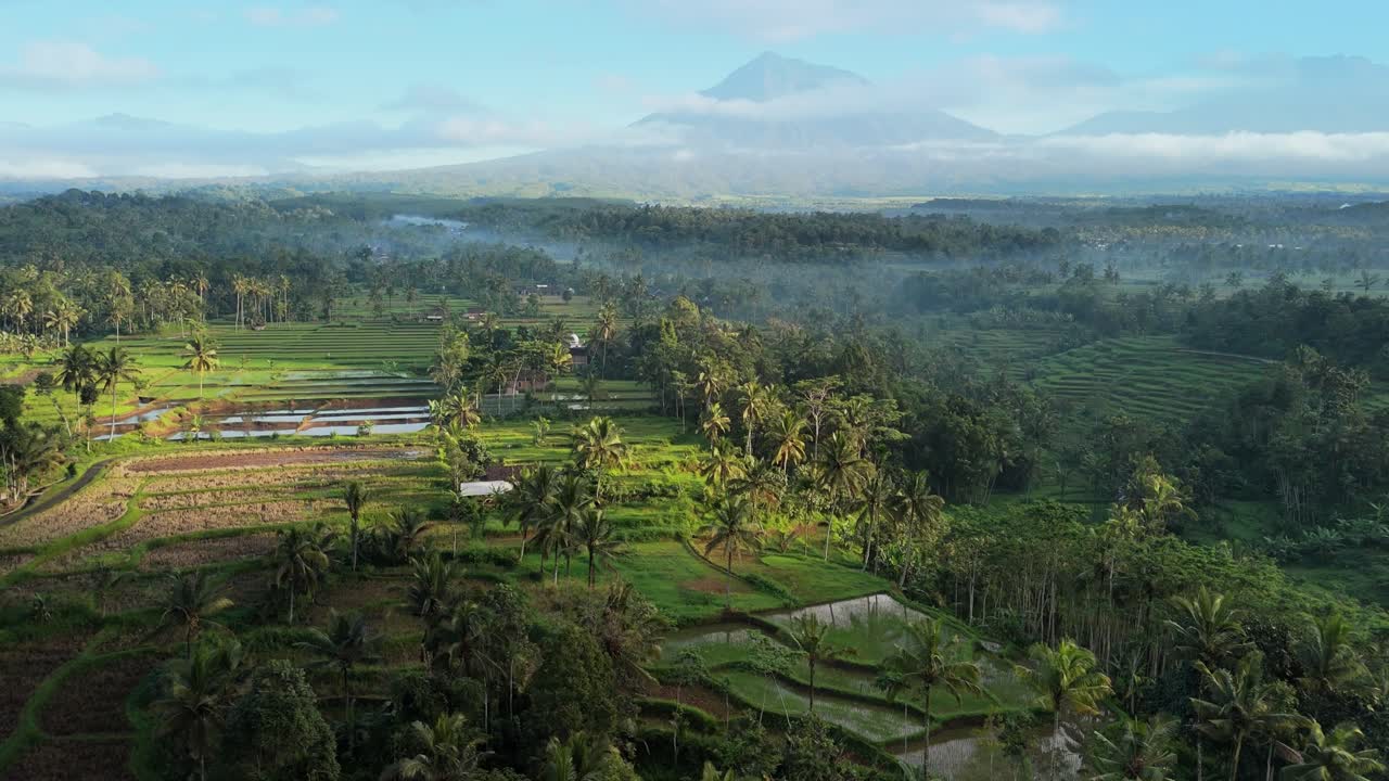 Terasering sawah yang terletak di lereng gunung berapi tertutup hutan Gunung Ijen, Jawa, Indonesia