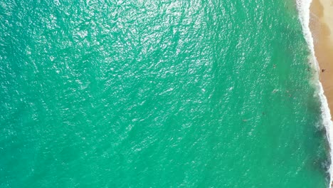 sea texture, emerald water with coral reef and golden sand on the seafloor