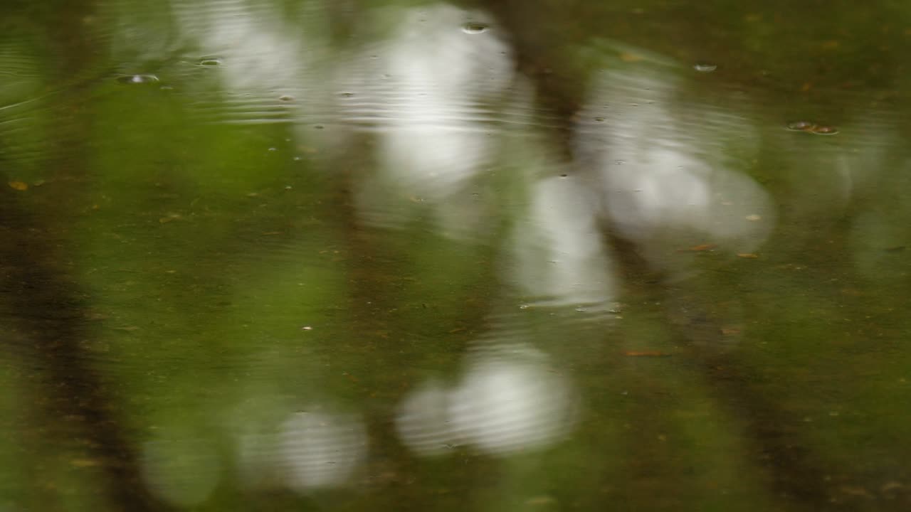 Water surface hit by raindrops.